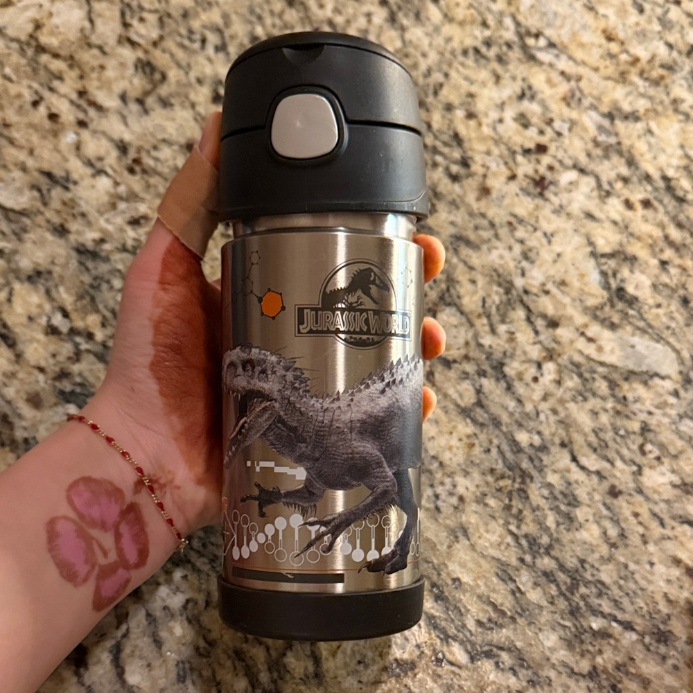 Jurassic World Stainless Steel Dino Water Bottle - Black & Silver
